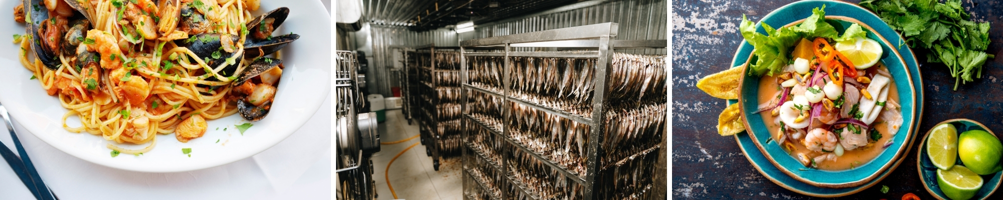 Financing for Seafood Suppliers