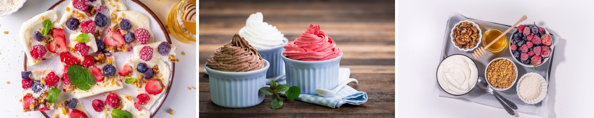 Frozen Yogurt Business Financing