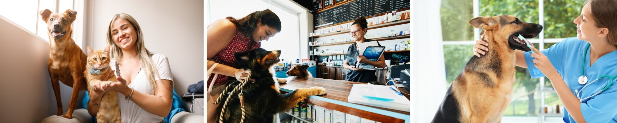 Pet Care Financing