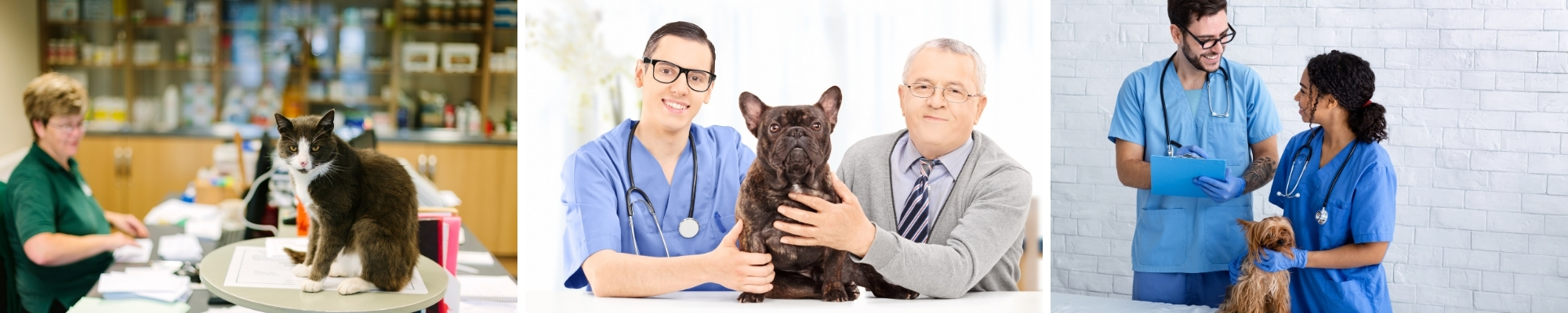Veterinary Practice Loans